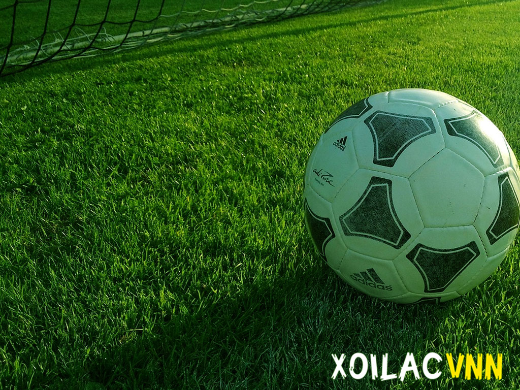 cap-nhat-bang-xep-hang-bong-da-moi-nhat