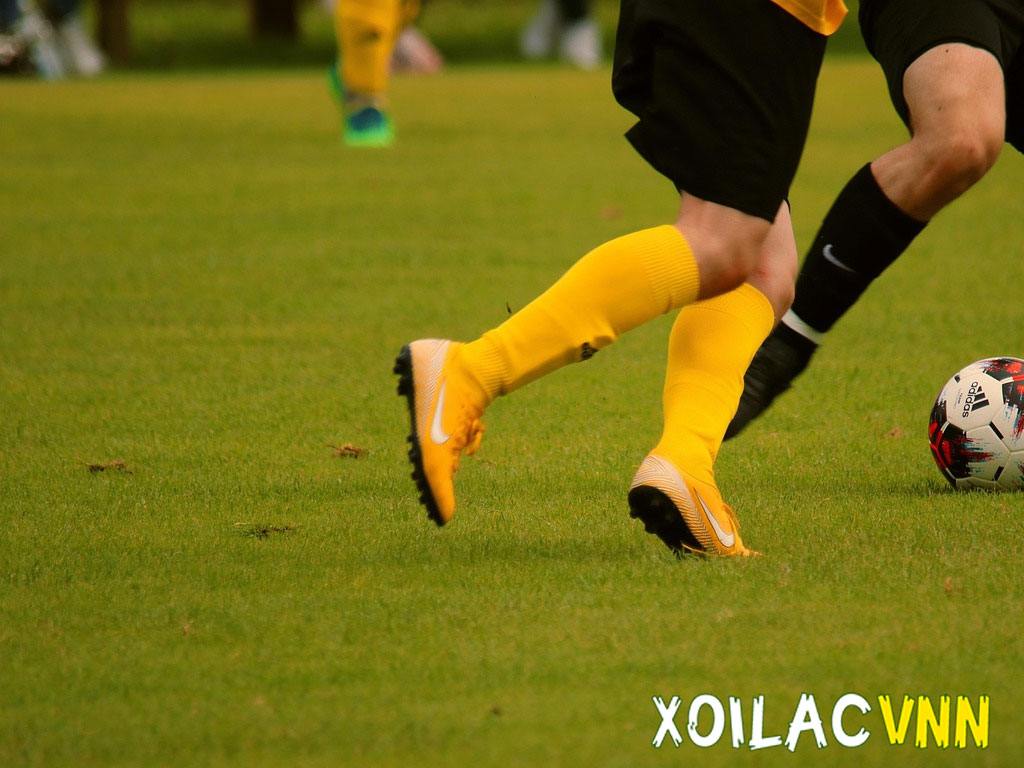 thong-tin-mien-tru-trach-nhiem-tai-xoilacvnn-tv