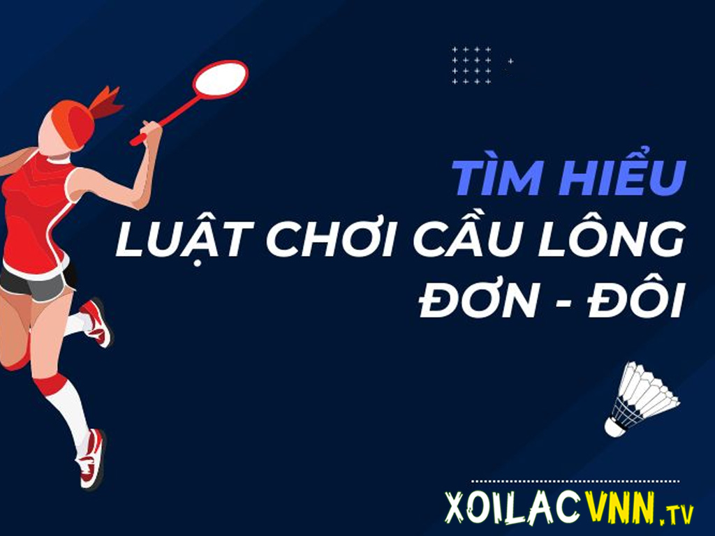 luat-cau-long-co-ban