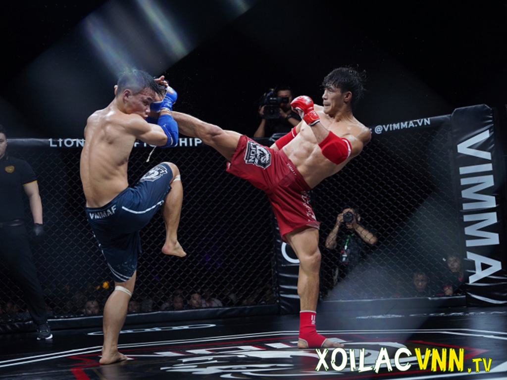 Giải thích chi tiết Hatha Yoga, MMA, HIIT, TDEE là gì,… là gì?