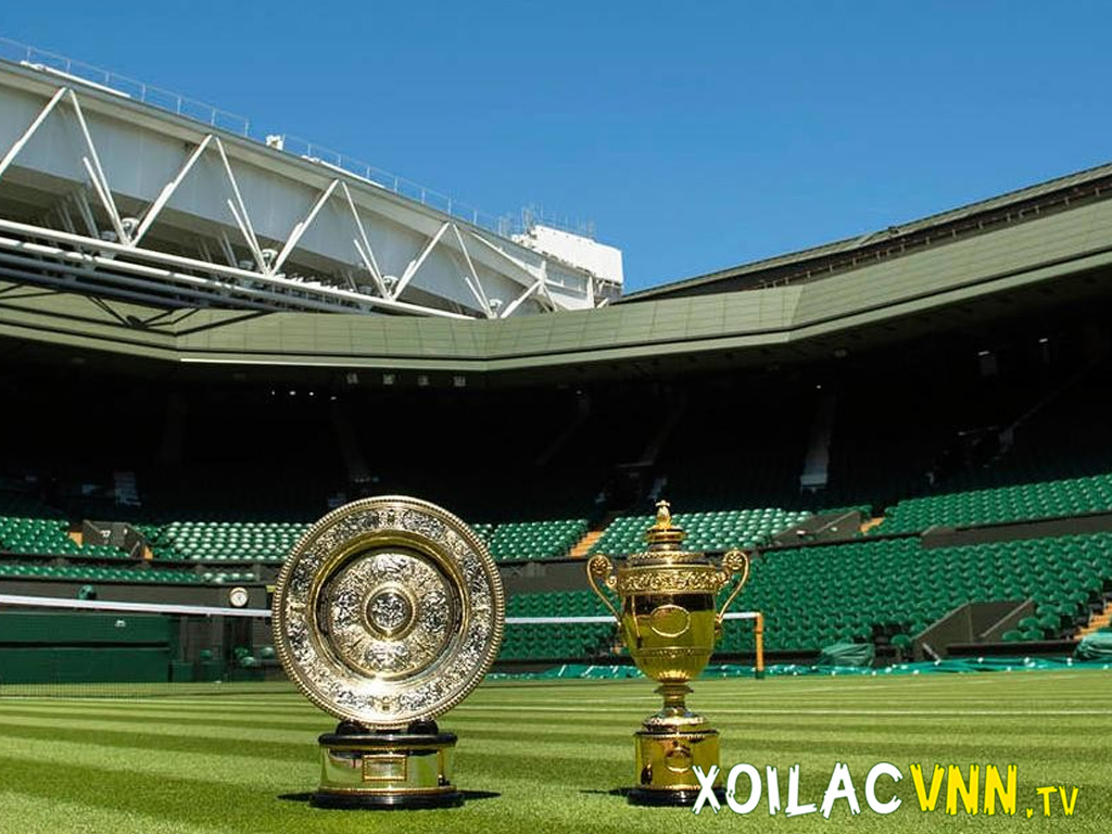 wimbledon-la-giai-dau-quan-vot-lon