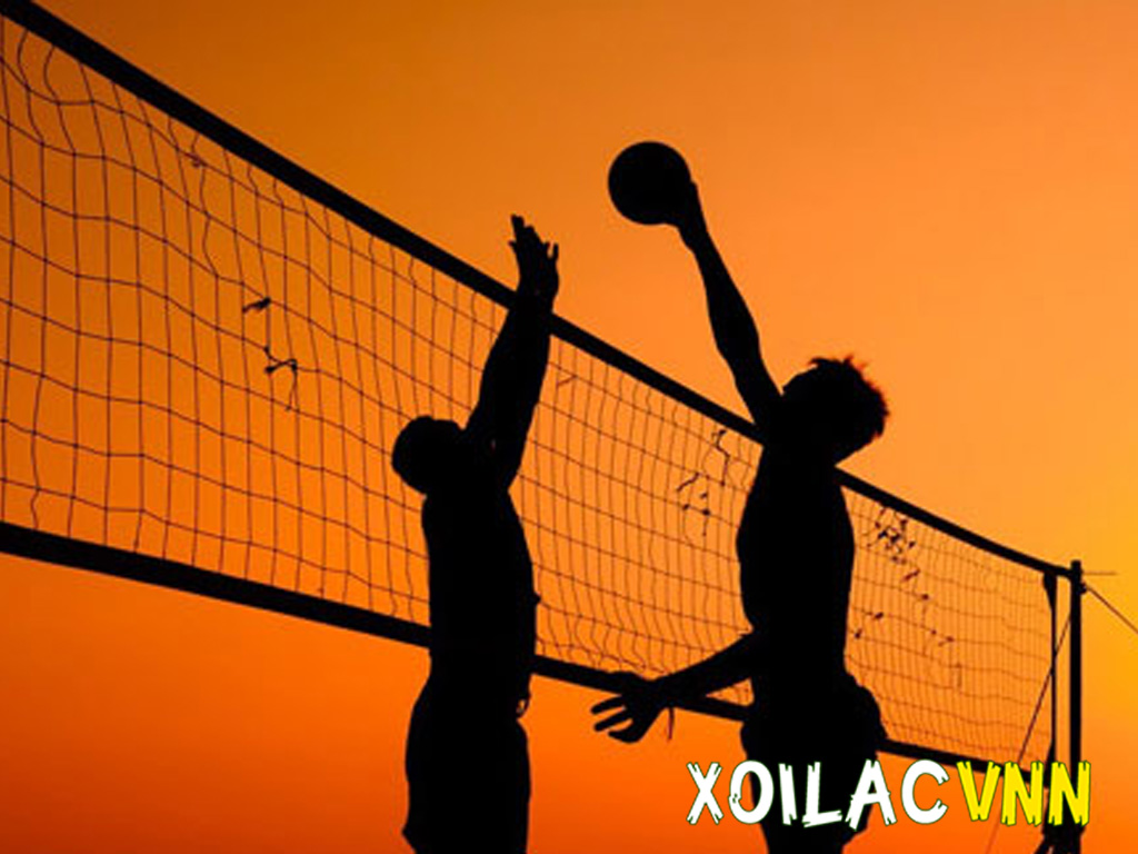 Top cầu thủ bóng chuyền hay nhất thế giới thời điểm hiện tại