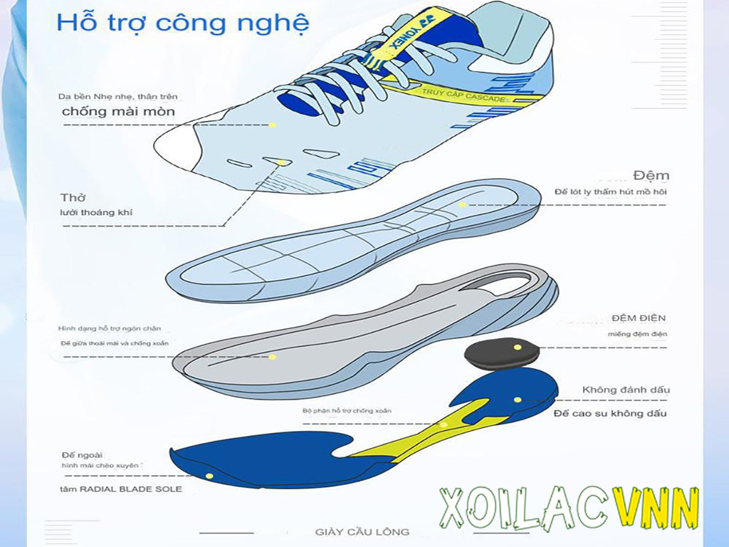 cau-tao-giay-cau-long