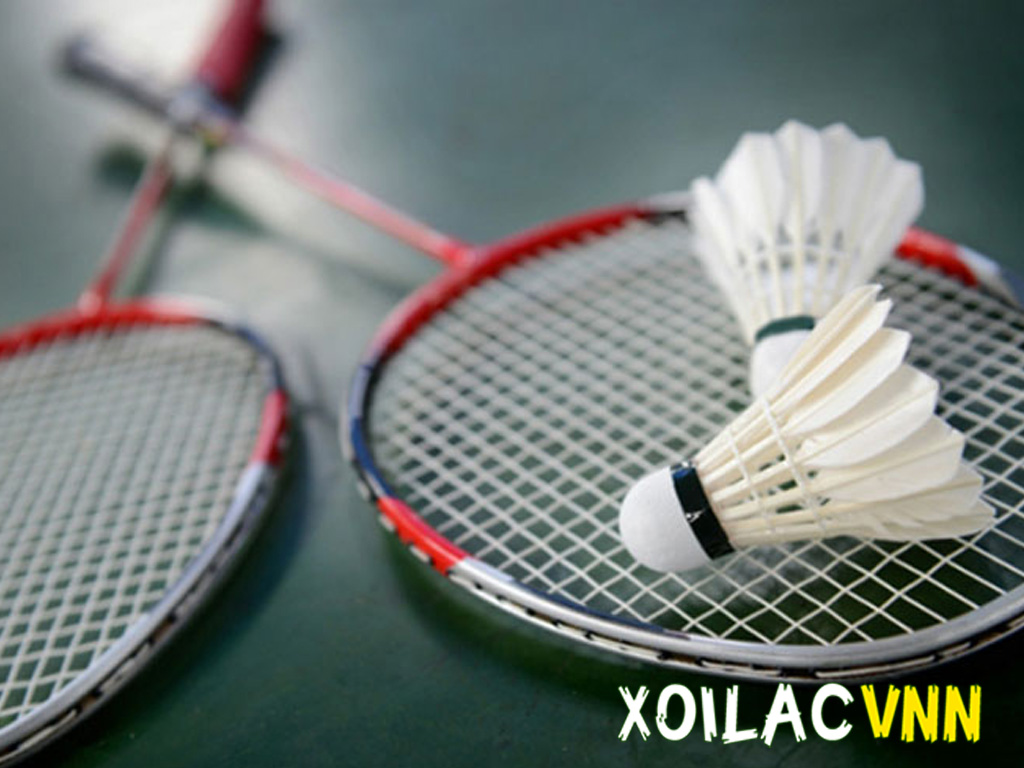 Vợt cầu lông: Toàn bộ kiến thức bạn cần biết để chọn đúng vợt 