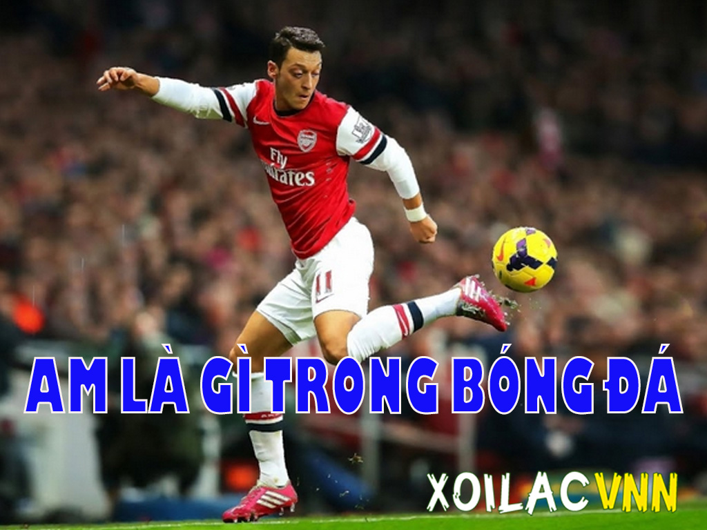 AM là gì trong bóng đá? Vai trò, kỹ năng và tầm quan trọng