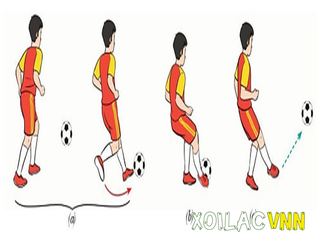 cac-buoc-da-bong-bang-long-ban-chan