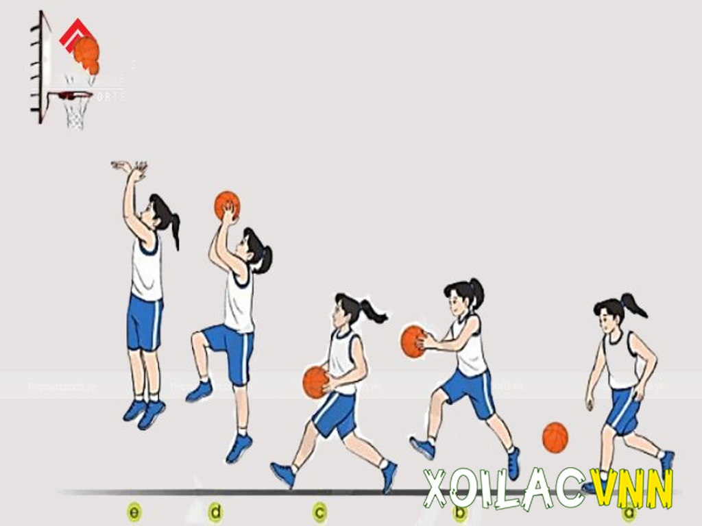 di-chuyen-de-nem-bong-vao-ro