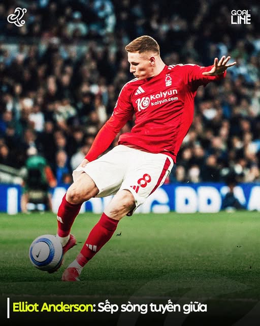 Elliot Anderson - một trong những ngôi sao thế hệ mới của tuyển Anh