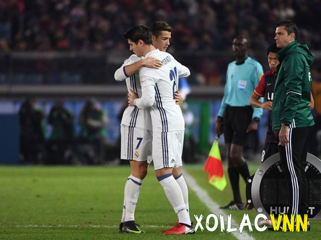 hiep-phu-van-co-the-thay-nguoi