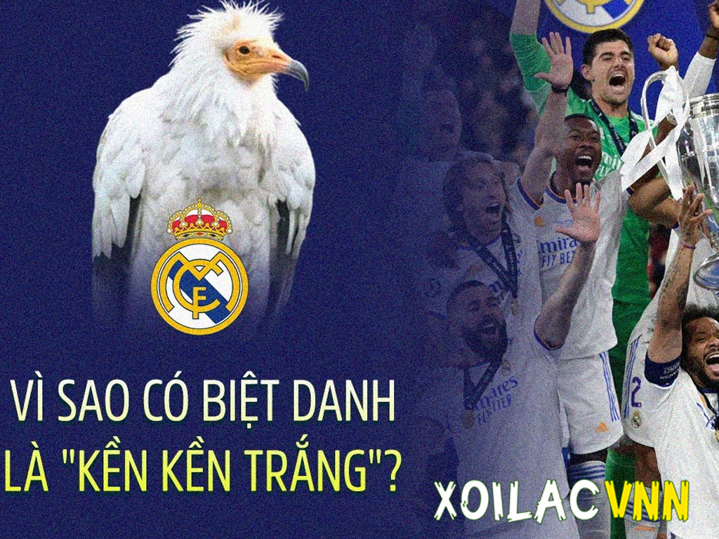 Biệt danh của các đội bóng: Nguồn gốc, ý nghĩa và cái tên nổi tiếng