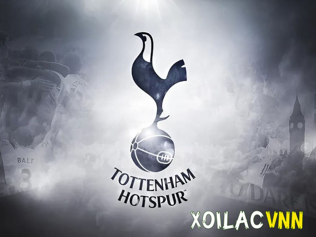 tottenham-co-biet-danh-la-ga-trong