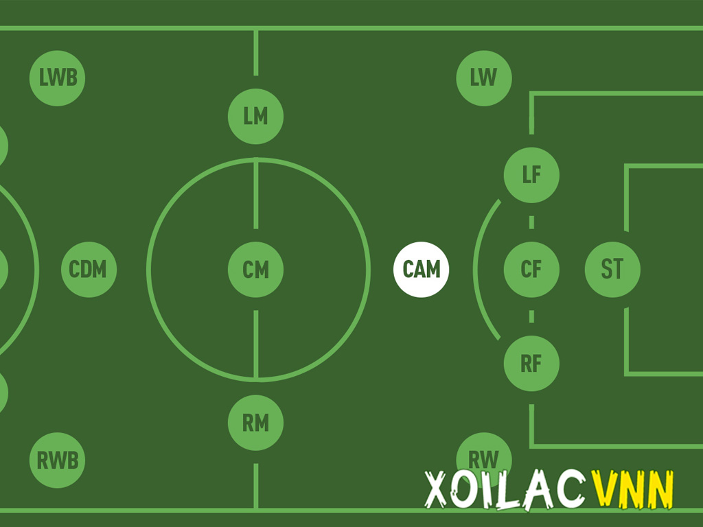 vi-tri-cua-cam-trong-doi-hinh