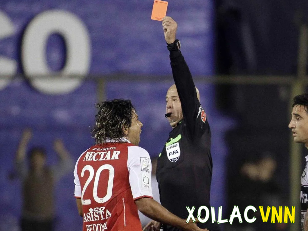 bedoya-la-ong-vua-the-do-nam-my